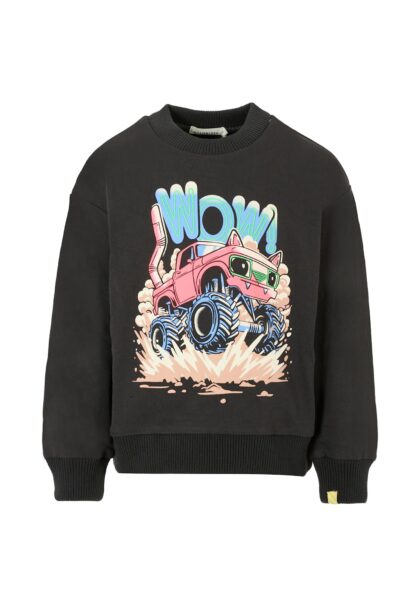 Billieblush Grey Sweatshirt For Boy With Print