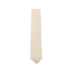 Ferragamo Print Silk Tie
