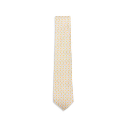 Ferragamo Print Silk Tie