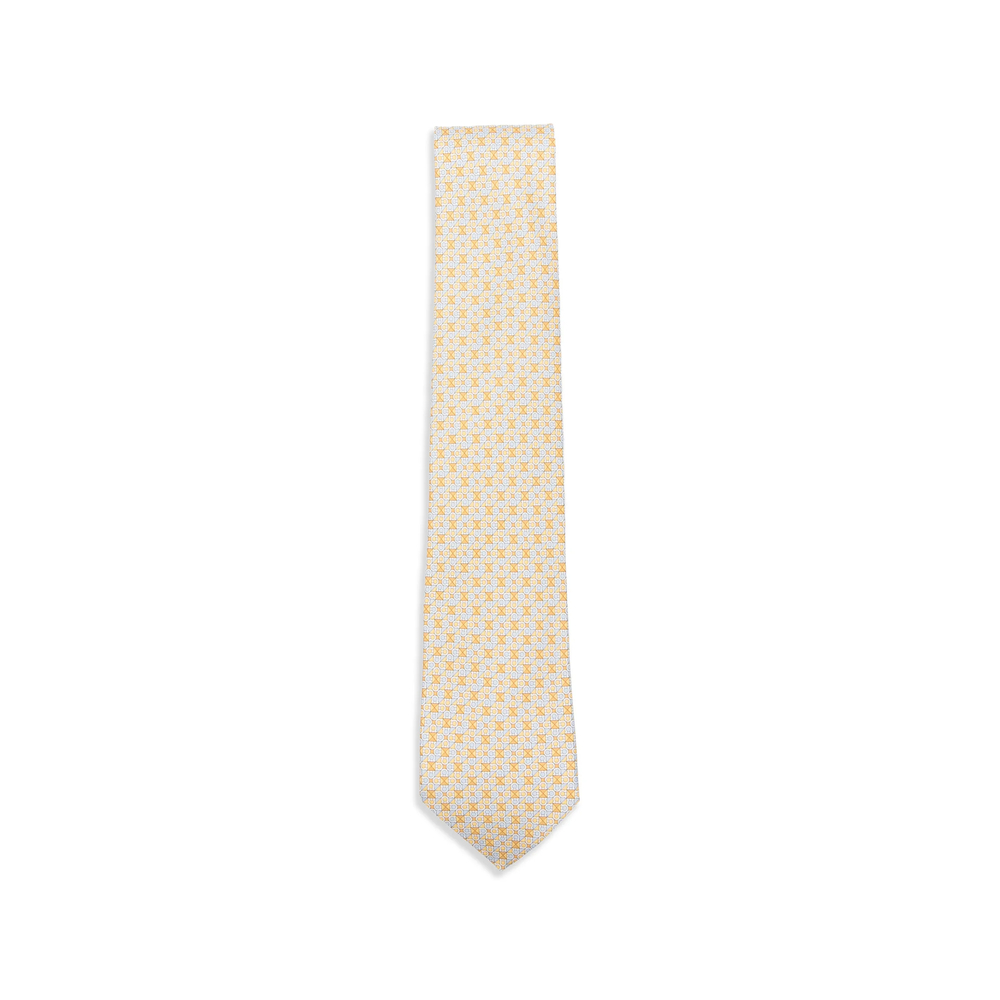 Ferragamo Print Silk Tie