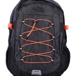 The North Face Borealis Classic Backpack