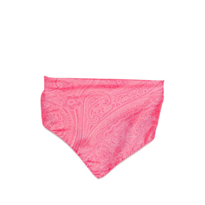 Etro Paisley-print Hair Accessory