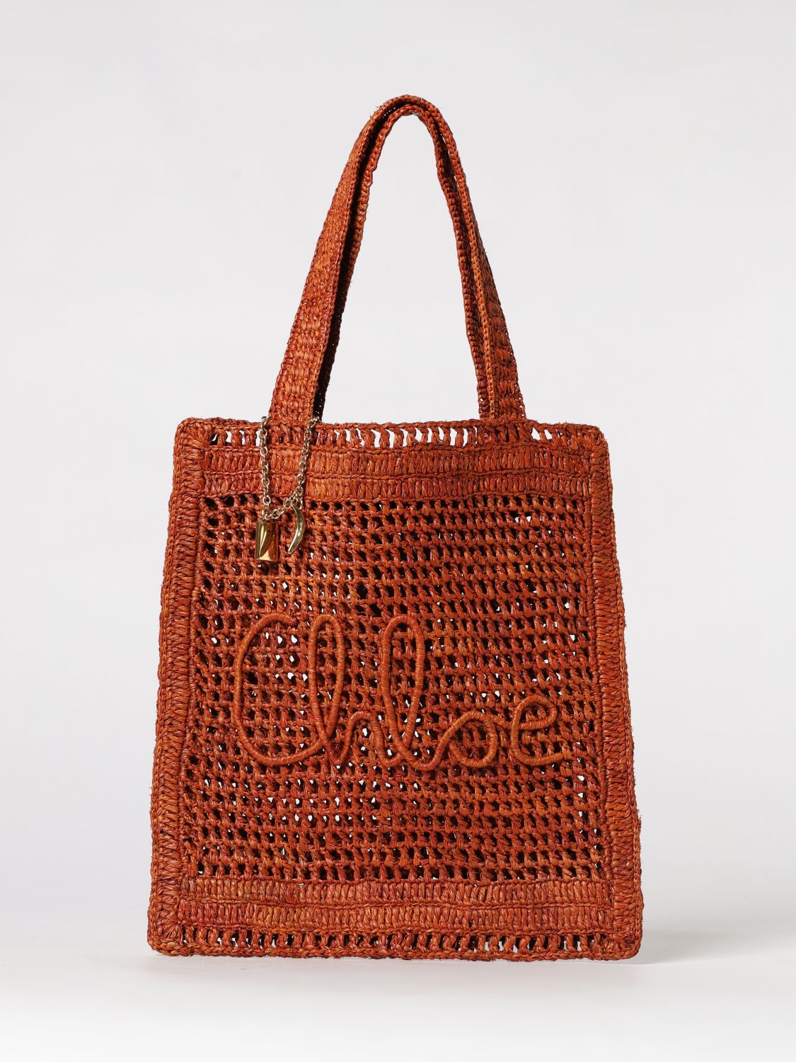 CHLOÉ Summer Banana Crochet Raffia Bag