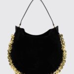 ISABEL MARANT Oskan Suede Bag with Metallic Appliqués